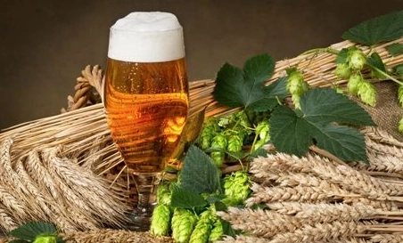 精釀啤酒設(shè)備廠(chǎng)告訴你怎樣從外觀(guān)檢查發(fā)酵情況